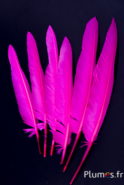 Cygne lame - 28-33 cm - fuchsia